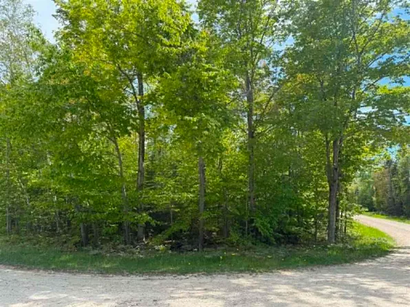 0 Indian Point Rd #55-56-1, Beaver Island, MI 49782
