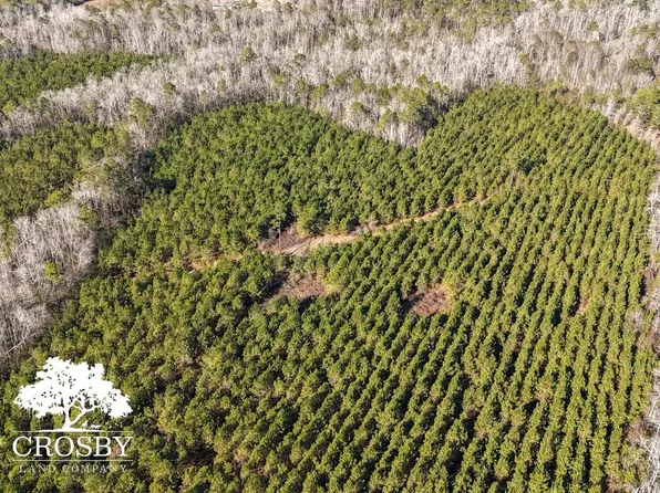 0 Scarboro Church Rd, Twin City, GA 30471