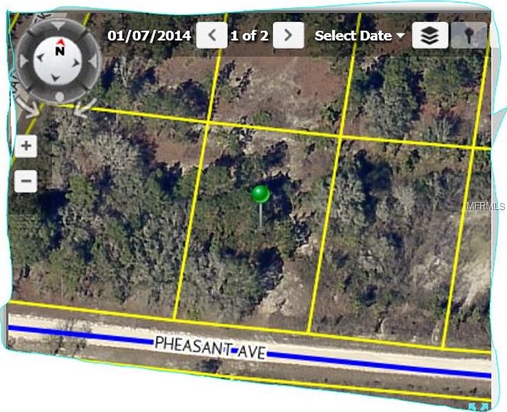 2nd image of Pheasant Ave