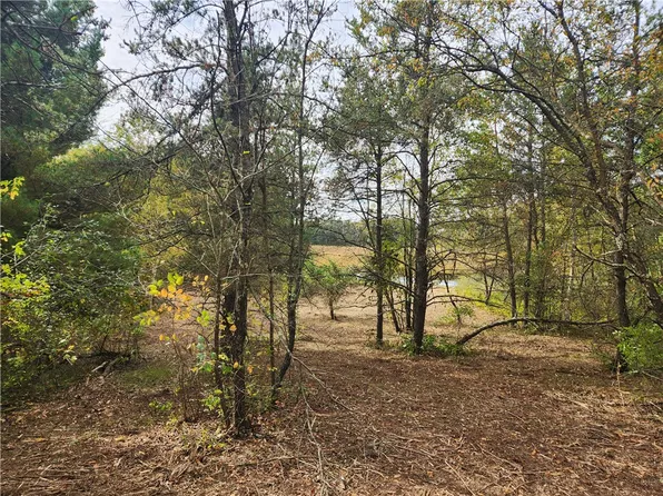 Lot 1 & 2 of CSM 1548 N County Road F, Chetek, WI 54728