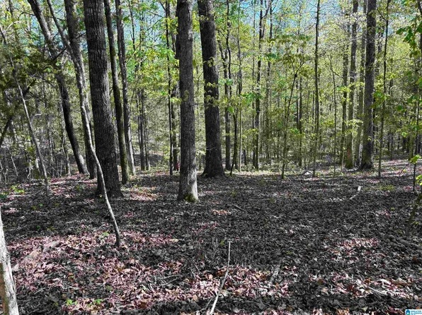 0 Hickory Hill Rd #5, Centreville, AL 35042
