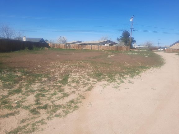 2nd image of Eucalyptus Ave