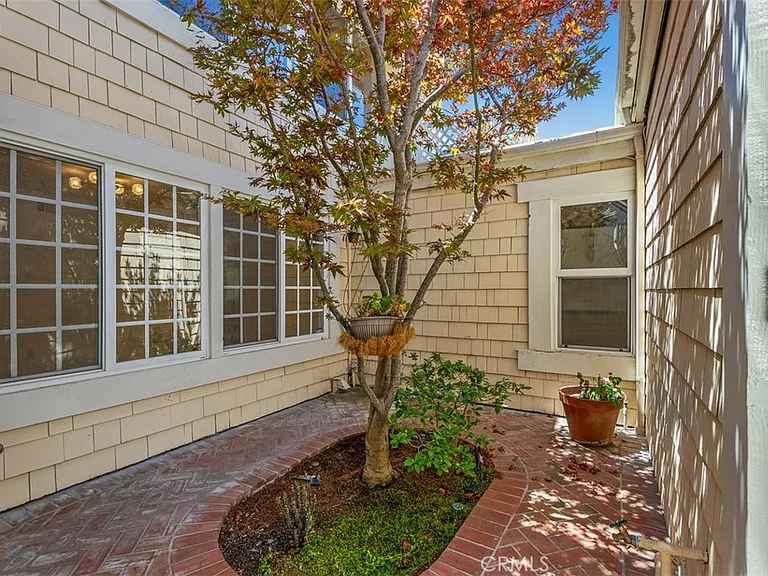 25 Candlebush — Photo 3