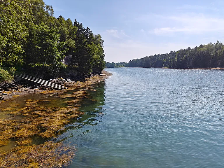 63 Tide Mill Cove Rd — Photo 11