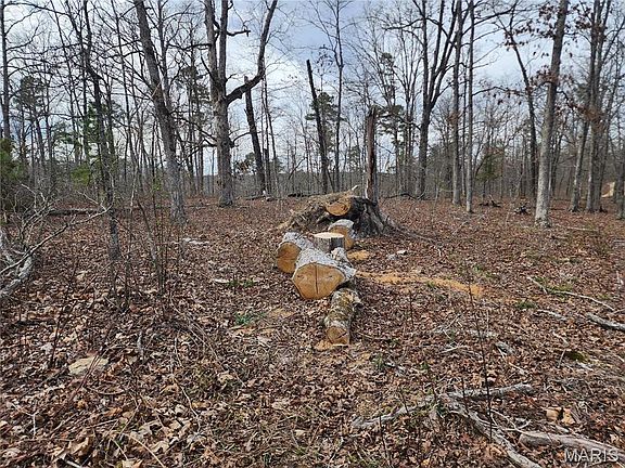 3rd image of 0 Wayne County Rd #434