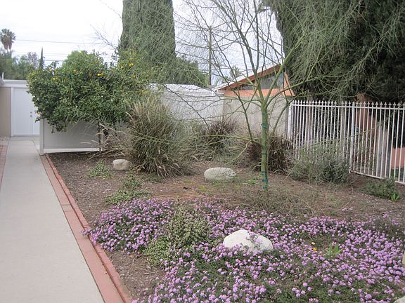 3rd image of 8031 Tampa Ave