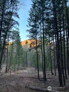 0 West Buttermilk Creek Road, Twisp, WA, 98856