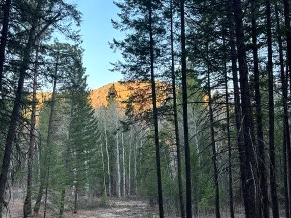 0 West Buttermilk Creek Road, Twisp, WA 98856