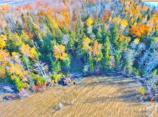 0 S Maple Point Rd, Pickford, MI 49774