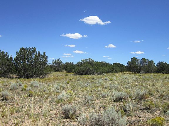 5th image of 0 Us Hwy 191