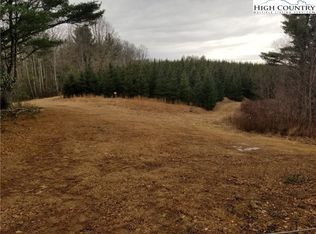 Tbd Phillips Gap Rd, West Jefferson, NC 28694