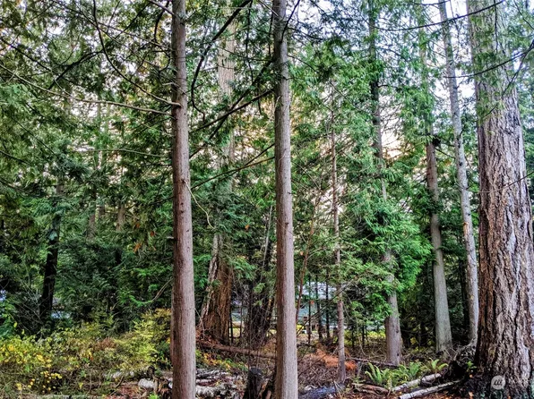 1891 Washington Drive, Point Roberts, WA 98281