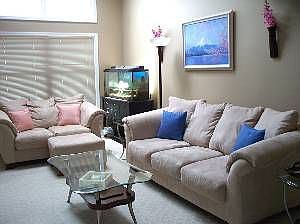 Living room with sky lights