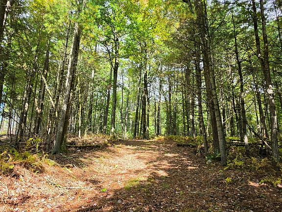 3rd image of LOT 6.17 State Rte #Rt97