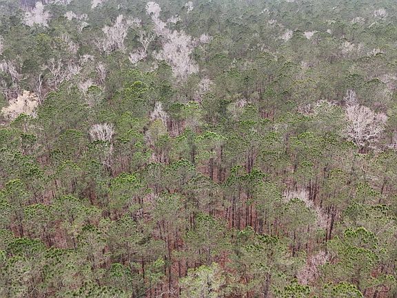 4th image of 0 Gibson Loop