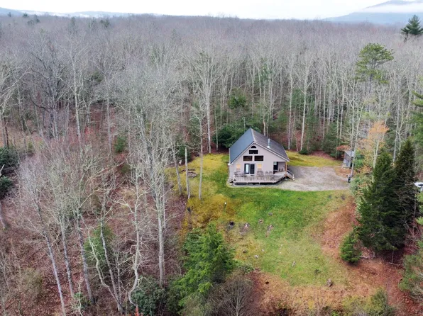 225 Schoolcraft Ln, Marlinton, WV 24954