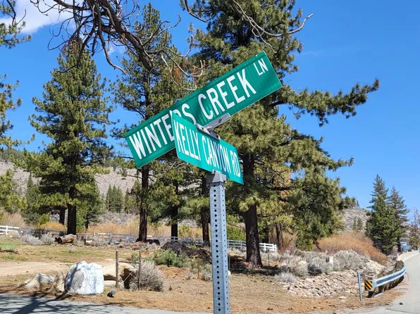 151 Winters Creek Ln, Washoe Valley, NV 89704