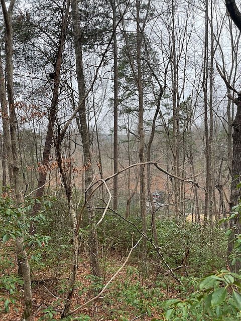 2nd image of 126 River Ridge Rd