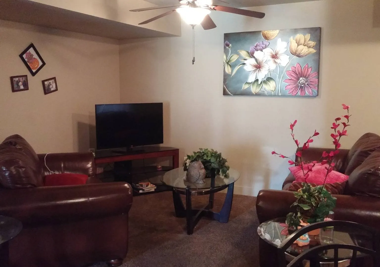 PG 4 Plex — Photo 2