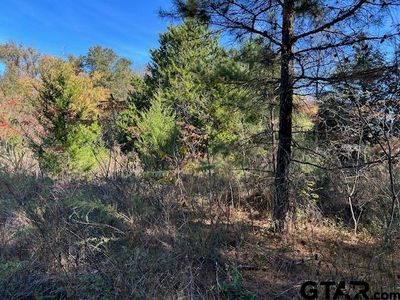 2269 Forteen & 15 Cres, Mineola, TX, 75773