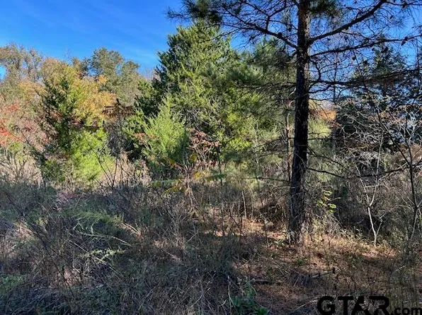 2269 Forteen & 15 Cres, Mineola, TX 75773