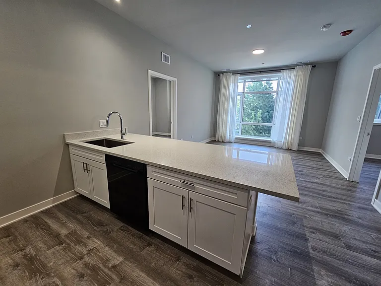2807 S Halsted St #310 — Photo 13