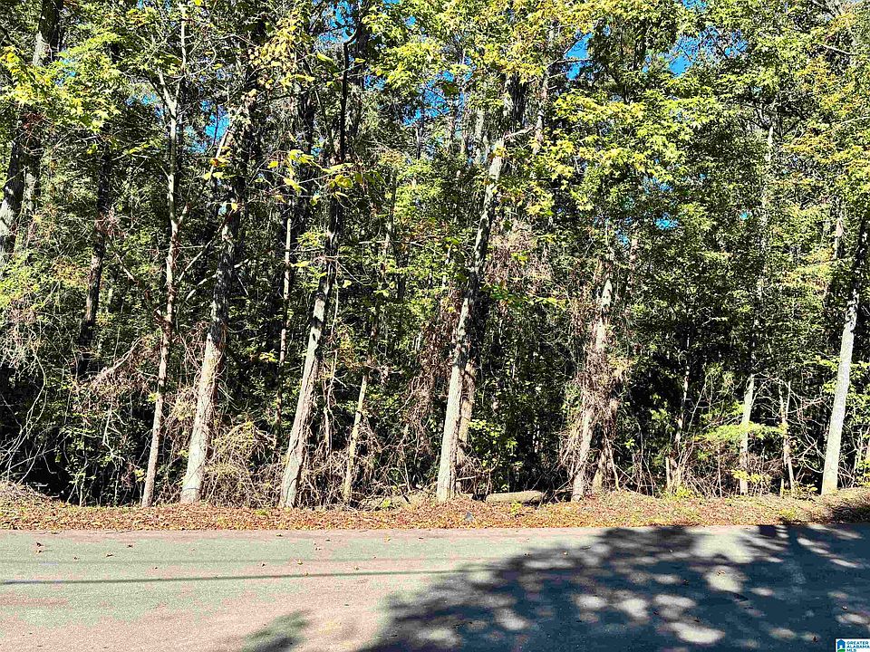1st image of 0 Mountain View Ln #15