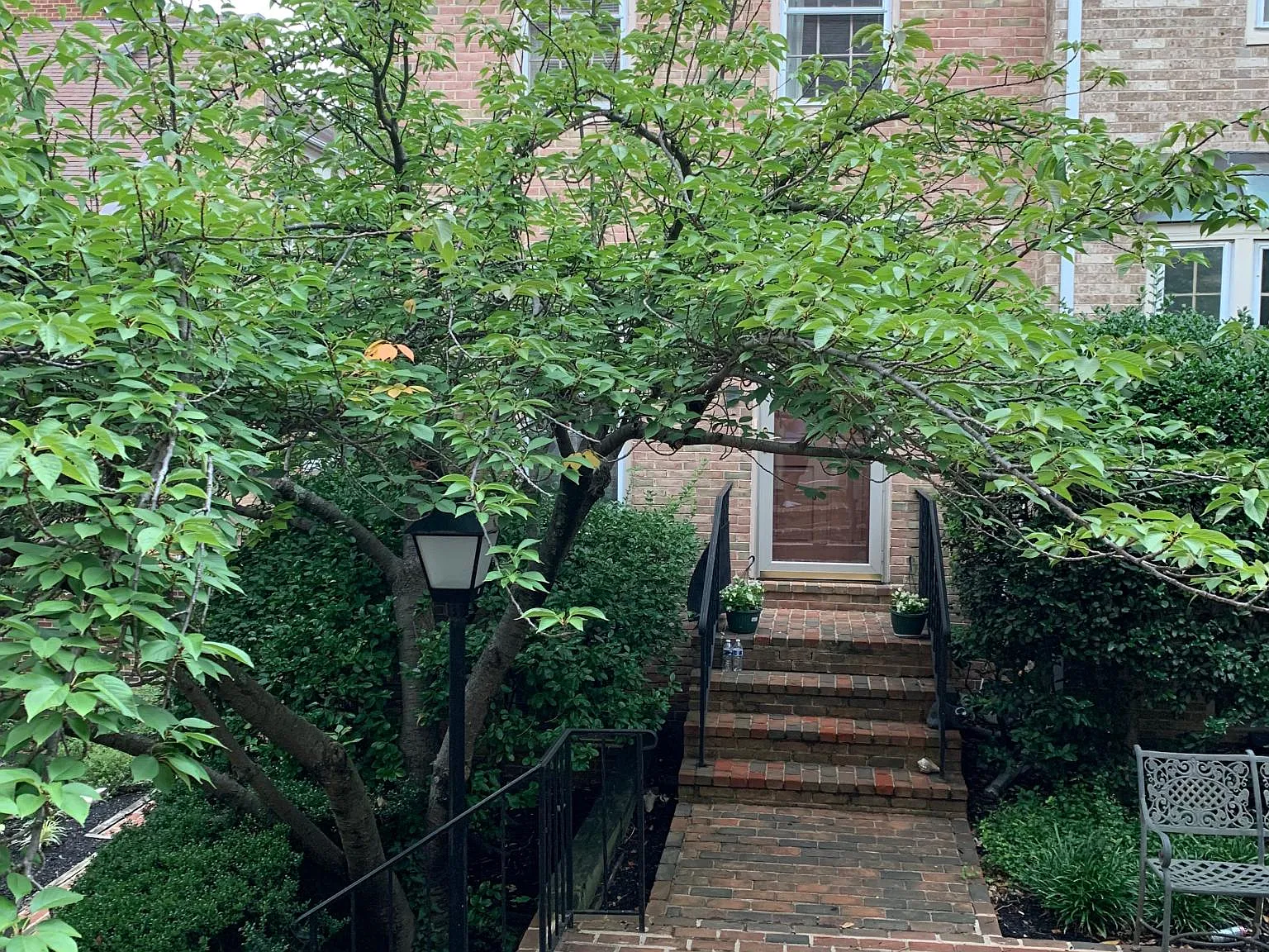 4412 Washington Blvd — Photo 2