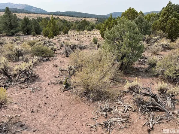 Off Sunrise Pass, Smith, NV 89430