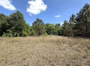 5581 S Highway 71, Wewahitchka, FL 32465