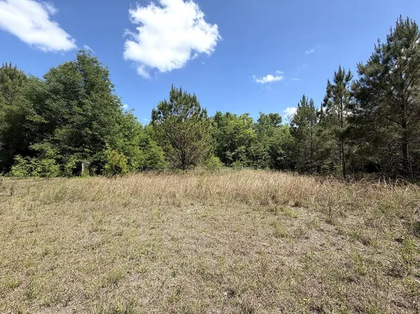5581 S Highway 71, Wewahitchka, FL 32465