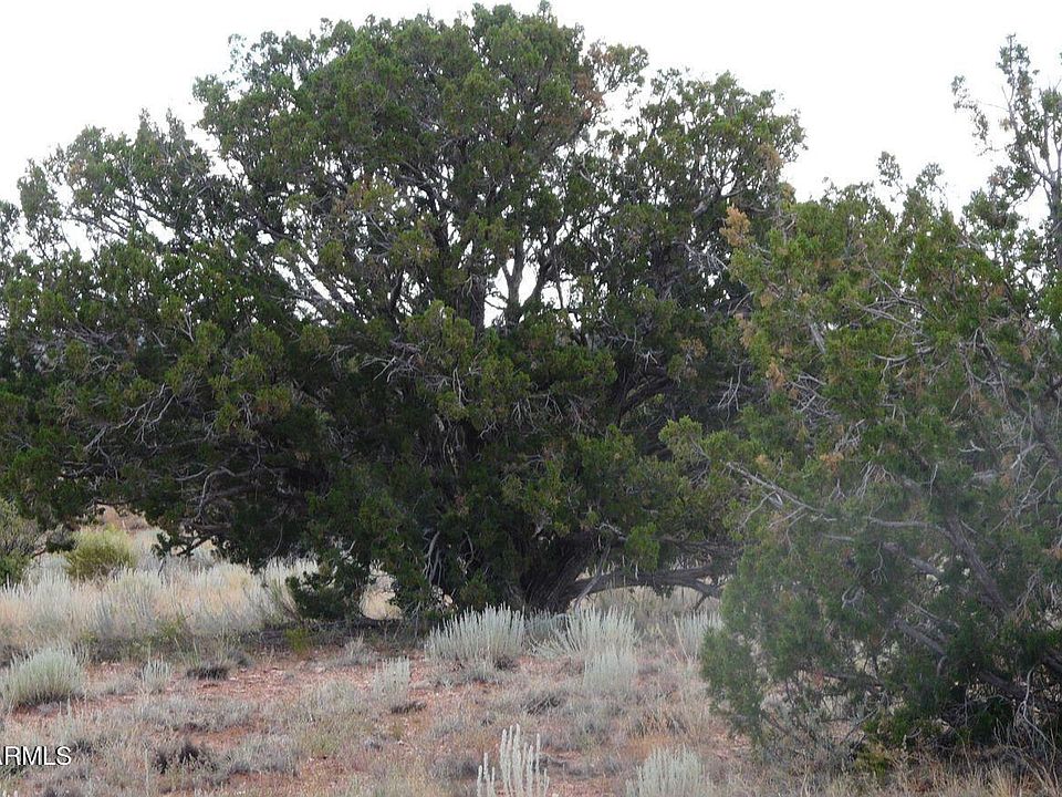 2nd image of 6195 Yavapai (Lot 235) Road #235