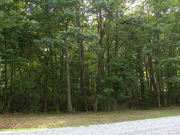 4th image of 0 Bluff Line Dr Lot 26