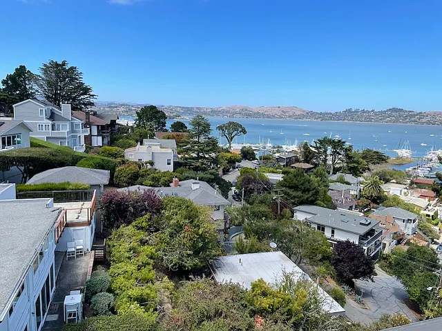 Cazneau Ave — Photo 20