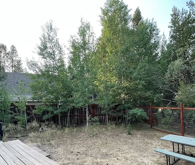 1413 Friant Dr — Photo 32