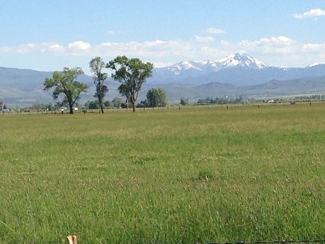 1st image of 2695 N Highway 395