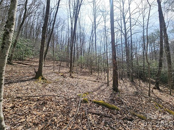 4th image of 9999 Burnette Reeves Rd
