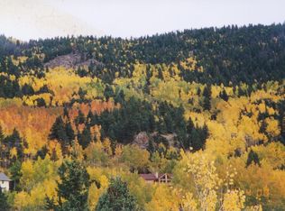 1254 Snyder Mountain Rd, Evergreen, CO 80439