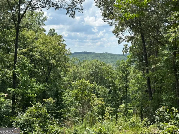 LOT 314 Pebble Trce, Talking Rock, GA 30175