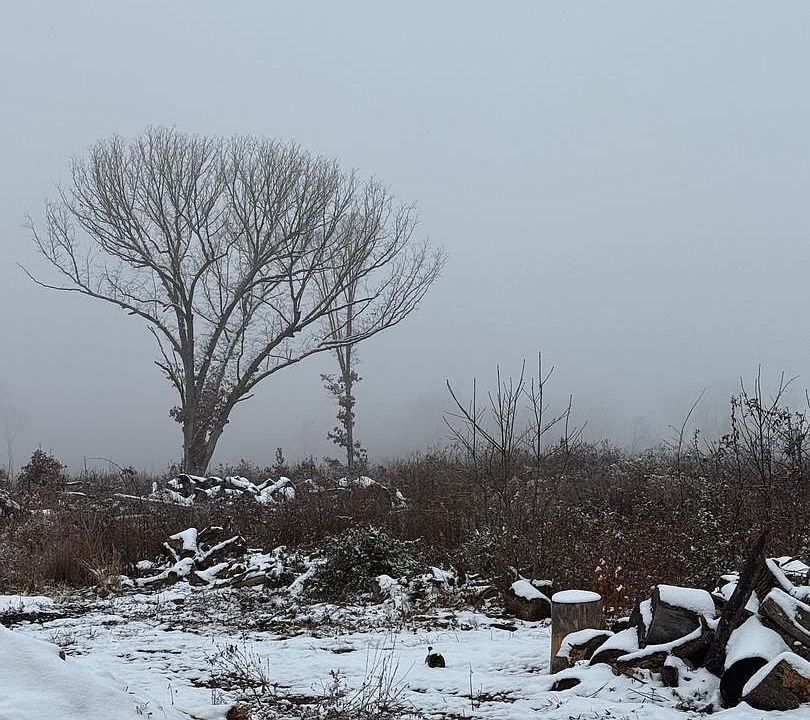 2nd image of 0 Old Mill Rd