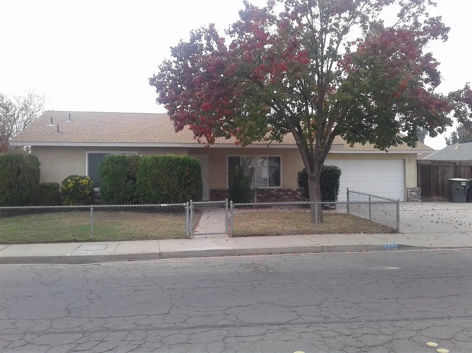1233 Pine Tree Ln photo 1