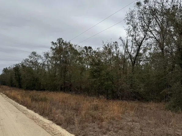 SW 57th Trl, Jasper, FL 32052