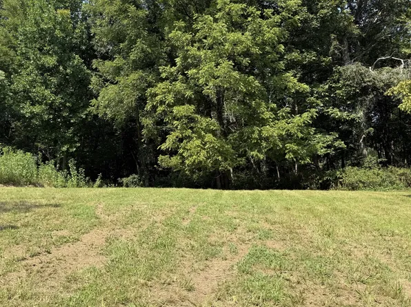 0 College St Lot 55, Red Boiling Springs, TN 37150