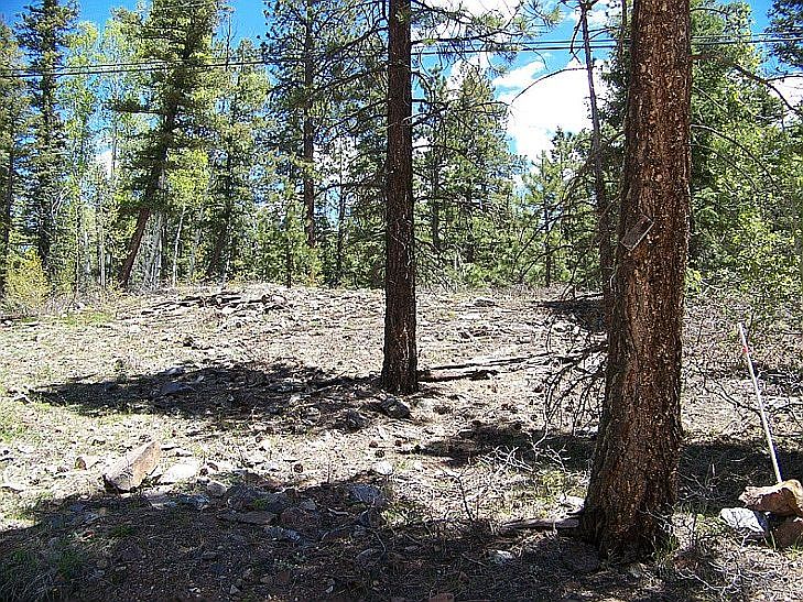 1st image of 1698 Lake Purgatory Dr