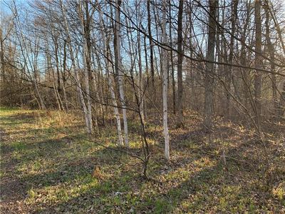 Lot 1 Bear Paw Road, Bruce, WI, 54819