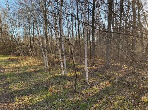 Lot 1 Bear Paw Road, Bruce, WI 54819