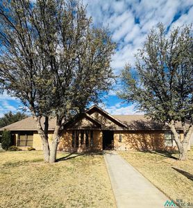 332 W Clearfork Dr, Hobbs, NM, 88240