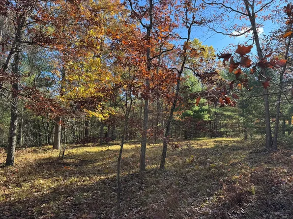 PARCEL 4 E County Line Rd, Free Soil, MI 49411