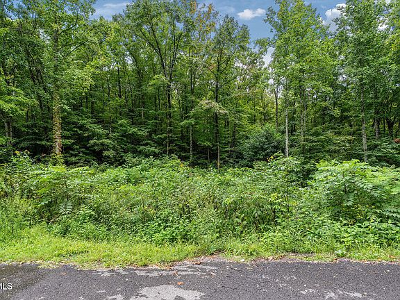 90th image of this home