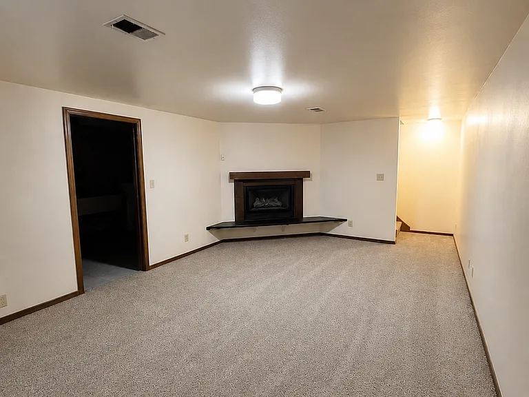 Finished Basement with Fireplace